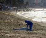 Hallan a ejecutado en playa de Acapulco