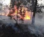 Suman 7 mil hectáreas afectadas por incendios