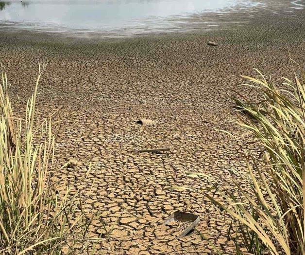 Vive laguna, &uacute;ltimos d&iacute;as