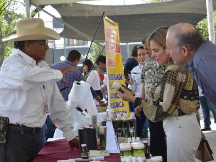 Arman Tianguis Rural Arman Tianguis Rural