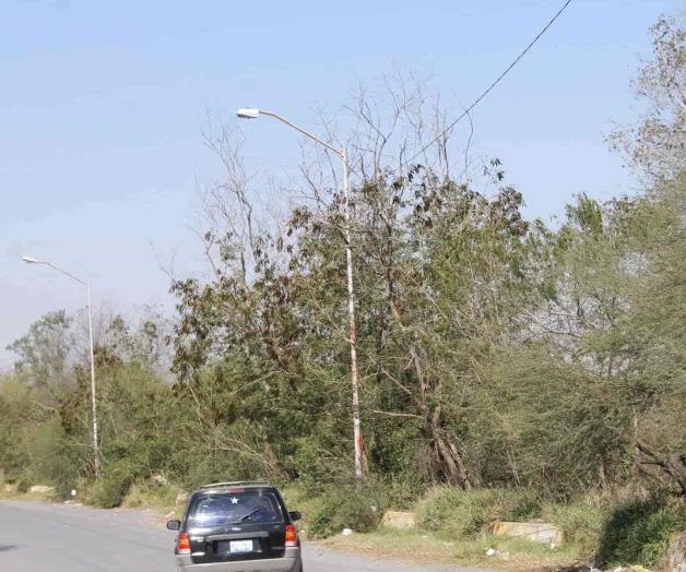 Proponen crear ´pulmón verde´ Proponen crear ´pulmón verde´