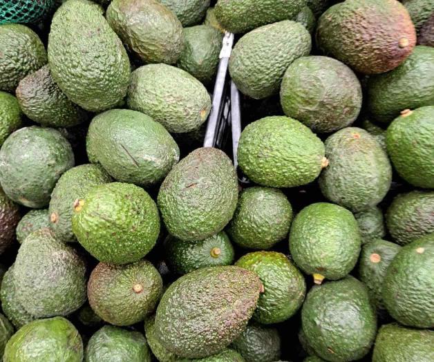 Vuelve a incrementar precio del aguacate
