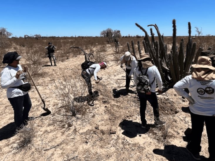 Las madres buscadoras que negocian con el narco para encontrar a sus desaparecidos en México Las madres buscadoras que negocian con el narco para encontrar a sus desaparecidos en México