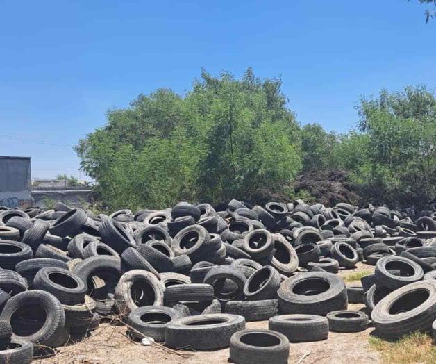Convierten a La Joya en basurero de llantas Convierten a La Joya en basurero de llantas