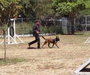 Tamaulipas | Cuenta GE con 22 perros entrenados