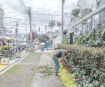 San Felipe, el barrio bogotano que desafía a la especulación inmobiliaria
