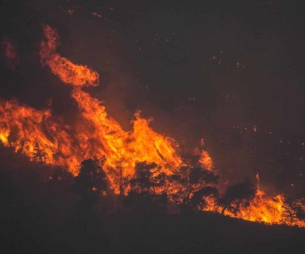 Incendios forestales obligan a miles a huir de zonas cercanas a Atenas