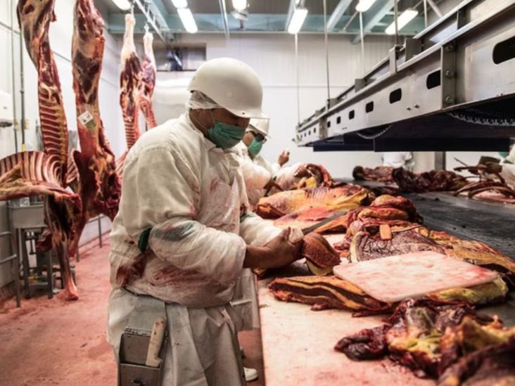 Caen exportaciones de carne en México Caen exportaciones de carne en México