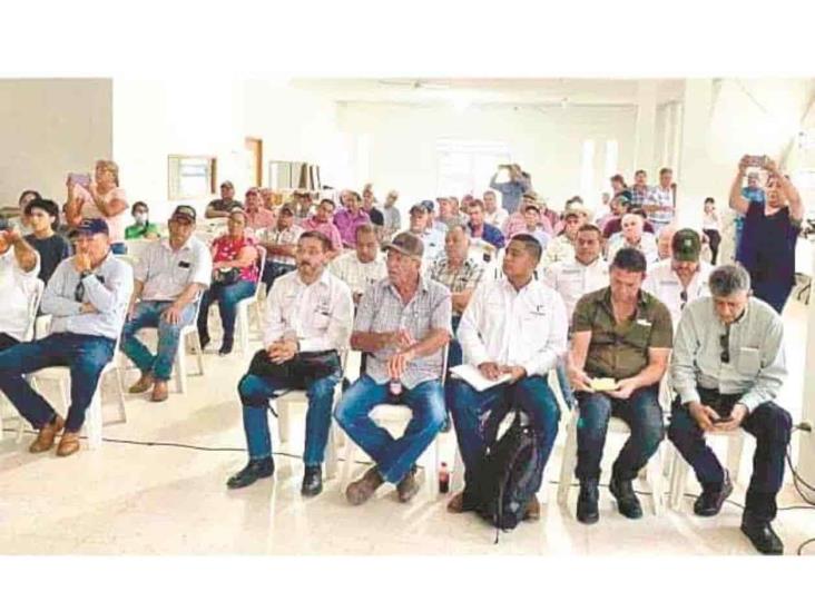 Buscan productores respuesta a petición Buscan productores respuesta a petición