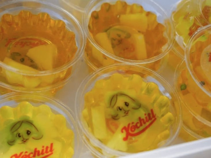 Al estilo Lulú, crea Xóchitl Gálvez caricatura en gelatinas y aguas Al estilo Lulú, crea Xóchitl Gálvez caricatura en gelatinas y aguas
