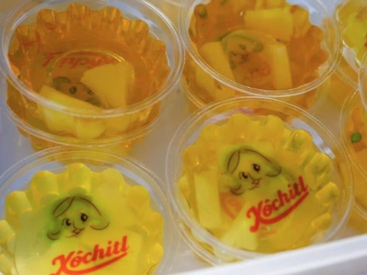 Crea Xóchitl caricatura al estilo ´Lulú´, en gelatinas Crea Xóchitl caricatura al estilo ´Lulú´, en gelatinas