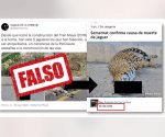 Fake News, ataque de un jaguar a trabajador