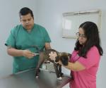 Hospital de mascotas atiende a bajo costo