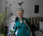Mexicana convierte su casa en un hospital para colibríes