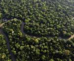 Ocho países de la selva amazónica inician cumbre en Brasil