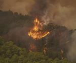 Afecta incendio a 7 mil 600 personas en Tenerife