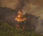 España: Incendio incontrolable en Tenerife afecta a unas 7.600 personas