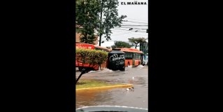 Tras lluvias en Guadalajara, tinaco impacta con autobús.