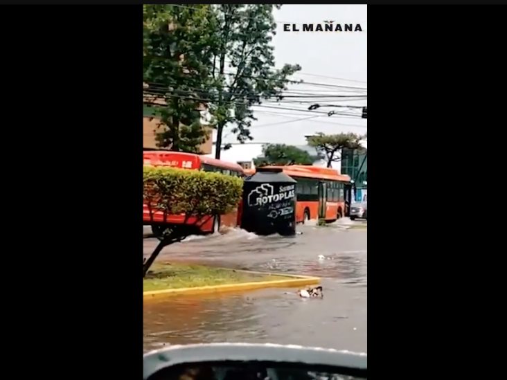 Tras lluvias en Guadalajara, tinaco impacta con autobús.
