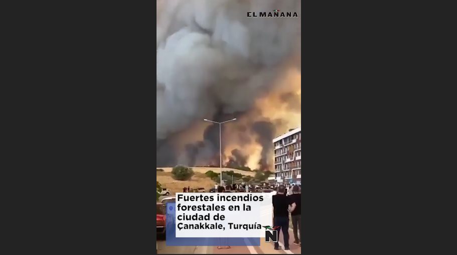 Fuertes incendios forestales en la ciudad de Çanakkale, Turquía
