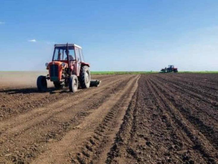Benéficas lluvias para agricultura Benéficas lluvias para agricultura