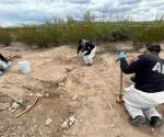 Hallan en fosa 11 cuerpos en Chihuahua, sería de migrantes