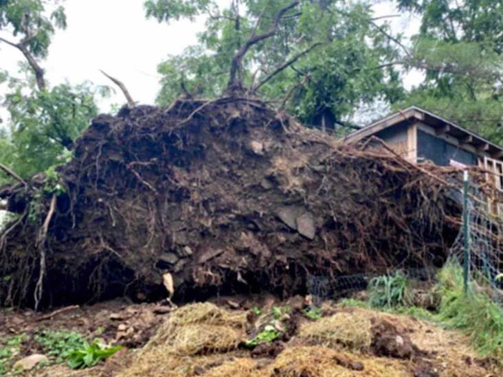 Golpea tornado a Pensilvania Golpea tornado a Pensilvania