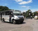 Reactivan 20 rutas de transporte público