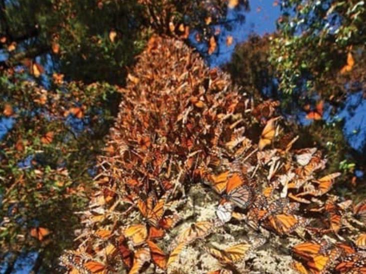 ¿Cuándo inicia el otoño en México? ¿Cuándo inicia el otoño en México?