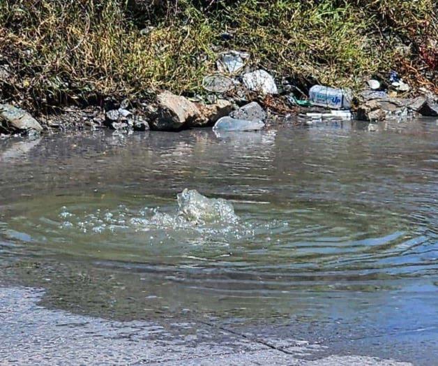Emanan fétidos olores por las aguas negras en Villa Esmeralda