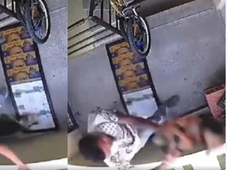Detienen a hombre que golpeó y lanzó desde un edificio a perrita Detienen a hombre que golpeó y lanzó desde un edificio a perrita