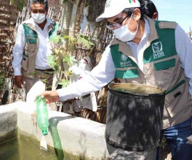 Refuerzan medidas contra el dengue