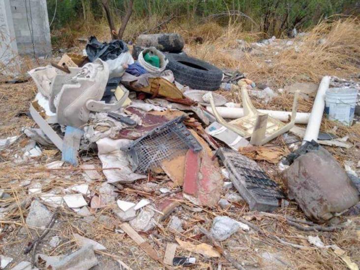 Terrenos baldíos, focos de infección Terrenos baldíos, focos de infección