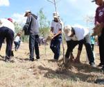 Promueve SEDUMA educación ambiental y reforestación en Reynosa