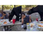Oso sorprende en picnic familiar, se come tacos y enchiladas en NL