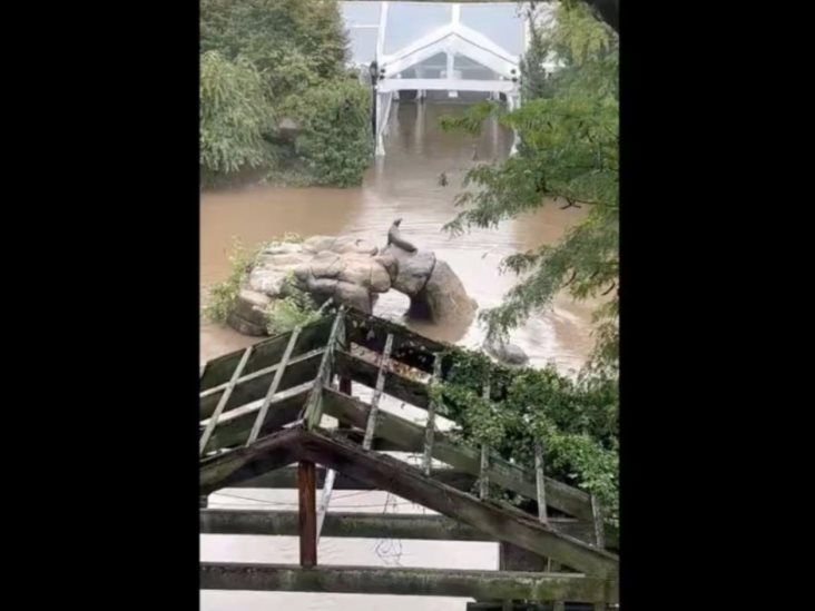 Se desata el caos en Nueva York tras fuertes lluvias Se desata el caos en Nueva York tras fuertes lluvias