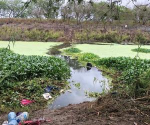 Venezolano salva a compatriota en arriesgado cruce del río Bravo