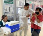 Llaman a aplicarse la vacuna antiinfluenza