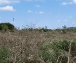 #Reynosa | Hallan cuerpo de hombre en terreno baldío, entre Fraccionamientos La Cima y Vista Hermosa