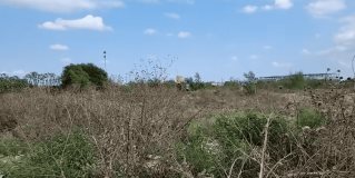 #Reynosa | Hallan cuerpo de hombre en terreno baldío, entre Fraccionamientos La Cima y Vista Hermosa