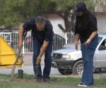 Reforestan  ecologistas las áreas verdes