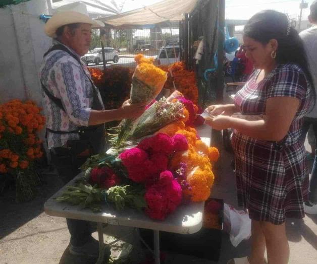 Llega cempasúchil Llega cempasúchil