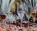 No todas las bebidas de agave pueden llamarse tequila 