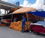 #REYNOSA Previo al Día de Muertos llegaron a #Reynosa las flores de cempasúchil, vienen desde #Atlixco, #Puebla.