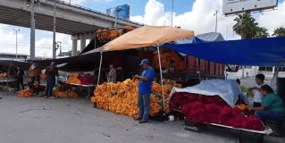 #REYNOSA Previo al Día de Muertos llegaron a #Reynosa las flores de cempasúchil, vienen desde #Atlixco, #Puebla.