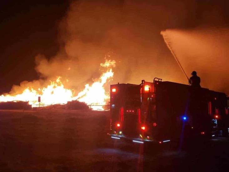Contienen incendio cerca del refugio de animales Contienen incendio cerca del refugio de animales
