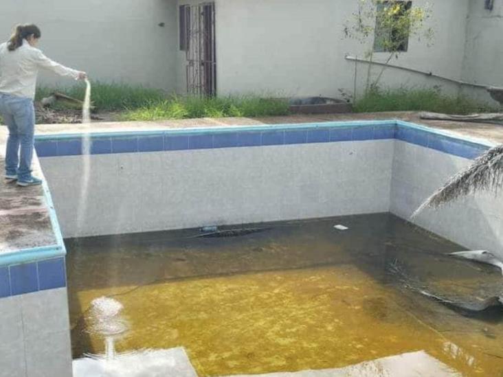 Siguen acciones contra el dengue Siguen acciones contra el dengue