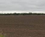 Benéficas lluvias para las siembras