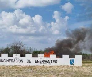 Incineran más de 300 kilos de narcóticos en Reynosa