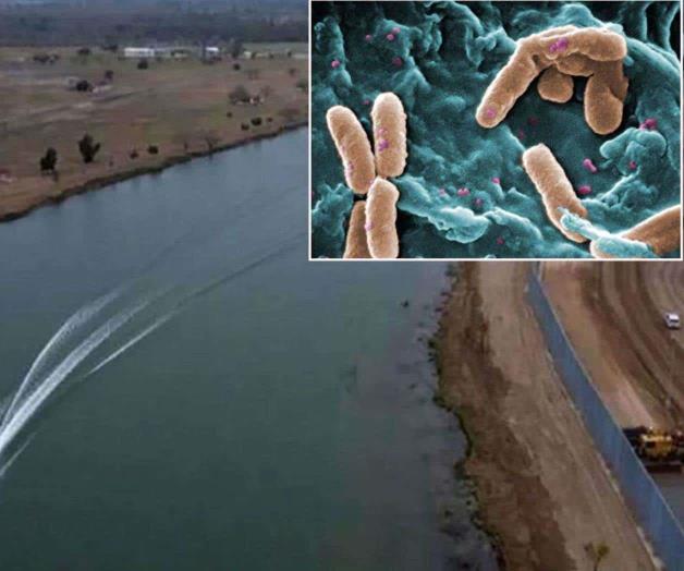 Descubren bacteria en el río Bravo Descubren bacteria en el río Bravo